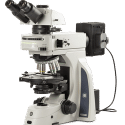 Delphi-X Observer polarization