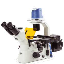 Oxion Inverso (fluorescence)